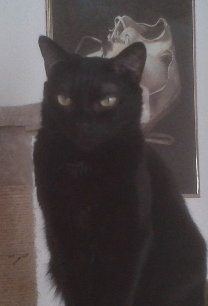 Danas Specialblick.jpg